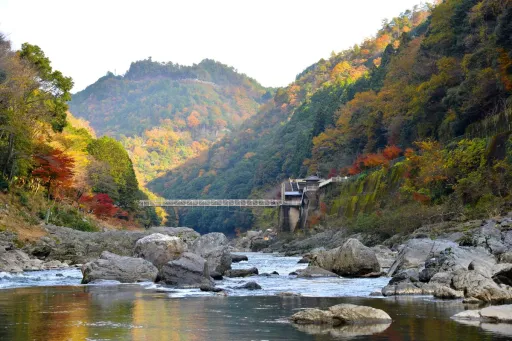 Image for article 4D3N Kyoto Itinerary: What To Eat, See and Do!