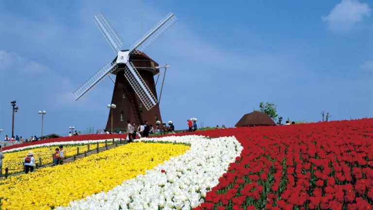 tsurumi ryokuchi park