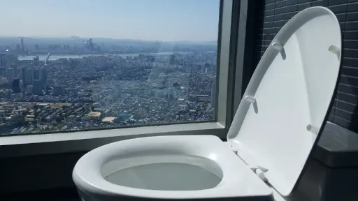 Image for article 5 Most Unique Toilets in the World:  A Journey Through Unconventional Urinals
