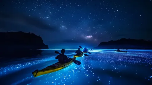 Image for article 5 Destinations Around the World That Glow