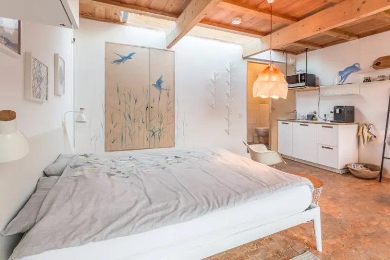  Airbnbs in Delft