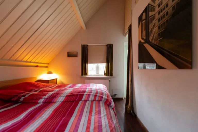  Airbnbs in Delft