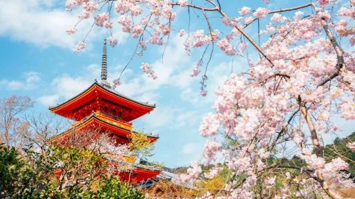 Image for article 8 Amazing Airbnbs in Kyoto to Experience the Cherry Blossom
