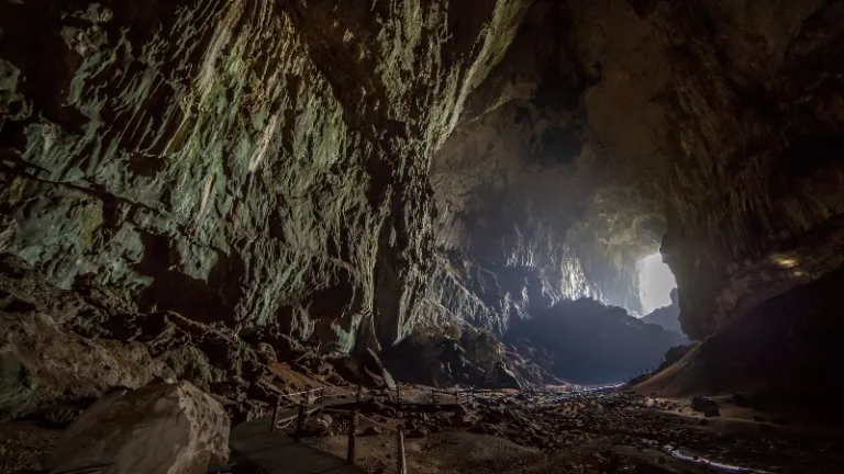 deer cave in gunung mulu national park