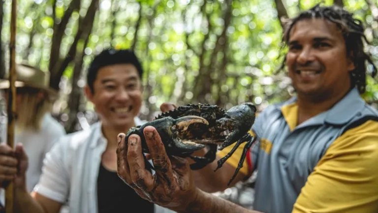 crabbing at cooya beach, queensland