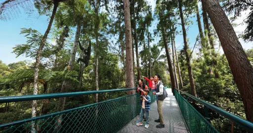 Image for article 7 Awesome Things To Do at Resorts World Genting During Chinese New Year