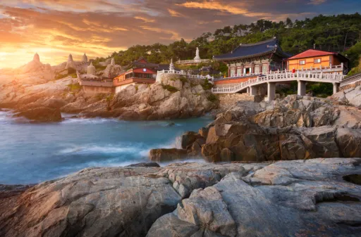 Image for article Your Guide to Korea’s 2025 K-ETA Exemption: What Singaporeans Need to Know