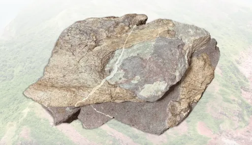 Image for article Discover the First Dinosaur Fossils Found in Hong Kong