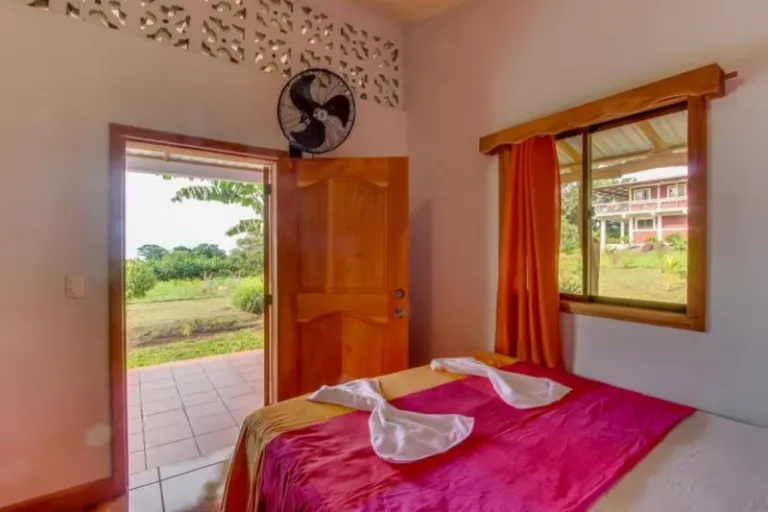 Airbnbs in Ometepe