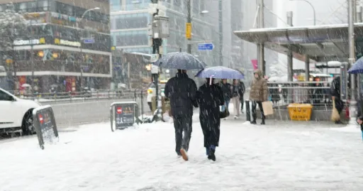 Image for article Epic Snowfall in Seoul: Heaviest November Snowfall in 52 Years Disrupts Travel