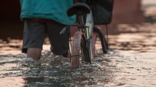 Image for article South Thailand and Malaysia Hit by the Worst Floods in Decades