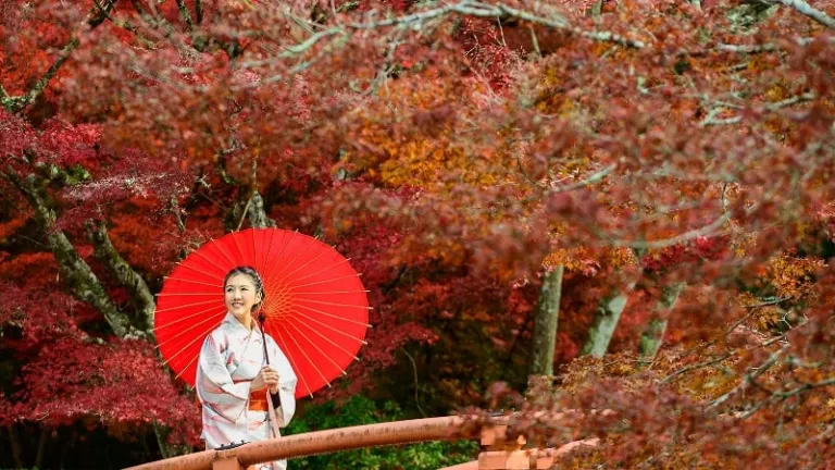 japanese woman in kimono and parasol surrounded by trees in autumn