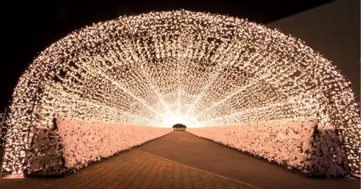 Image for article 8 Stunning Must-See Tokyo Winter Illuminations 2024