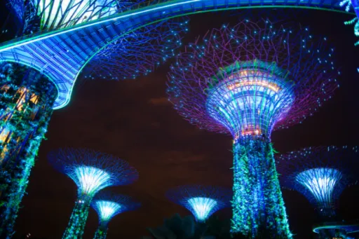Image for article Christmas Wonderland 2024 at Gardens By The Bay: What to Expect