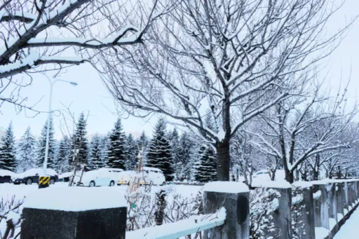 Image for article Travel Dupes Near Singapore: Budget-Friendly Alternatives To Touristy Destinations