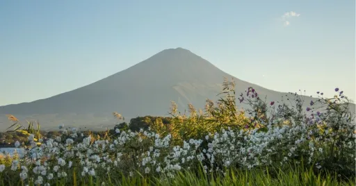 Image for article Japan’s Mount Fuji Hasn’t Seen Snow Yet This Season, a First in 130 Years