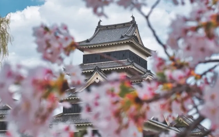 Must-Visit Prefectures Japan