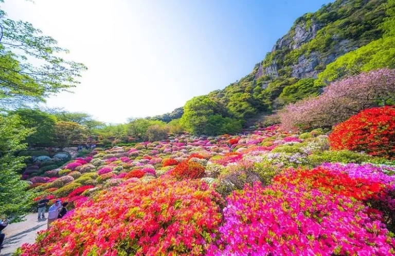 Must-Visit Prefectures Japan