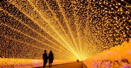 Image for article Best Winter Illuminations in Japan You Have to See
