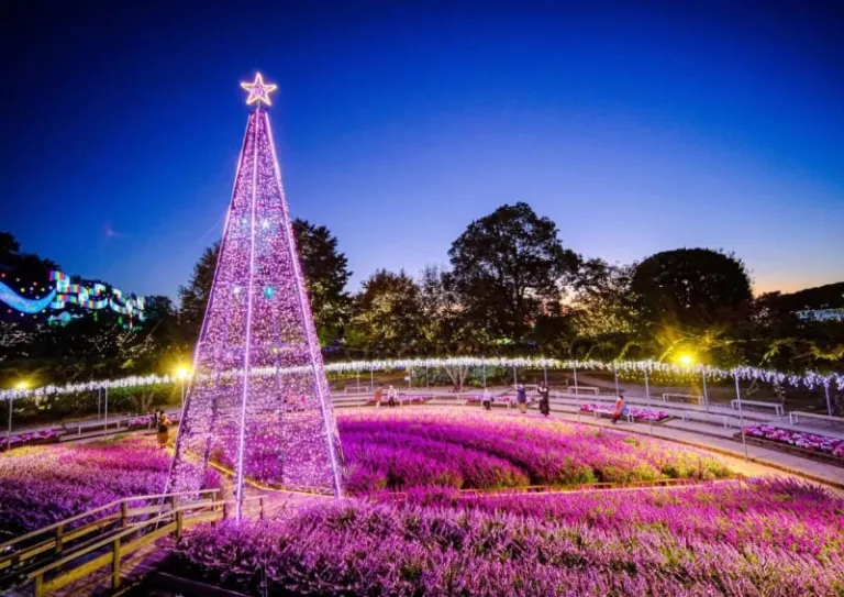 Ashikaga flower park illumination winter illuminations japan