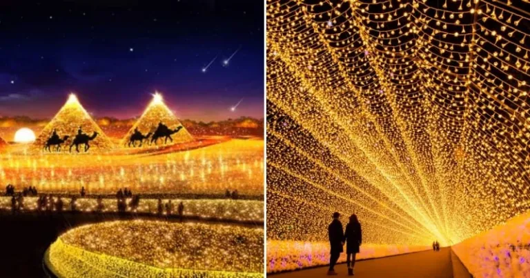 nabana no sato light display