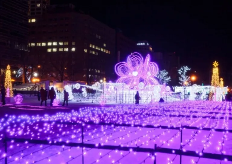 sapporo white light display