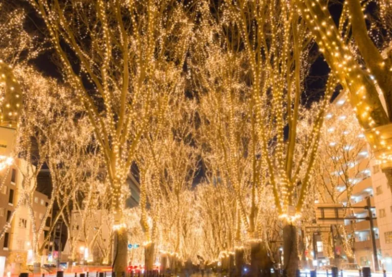 sendai pageant of starlight