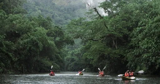 Image for article Beyond Borneo: Unveiling the Hidden Gems of Sarawak You Didn’t Know Existed