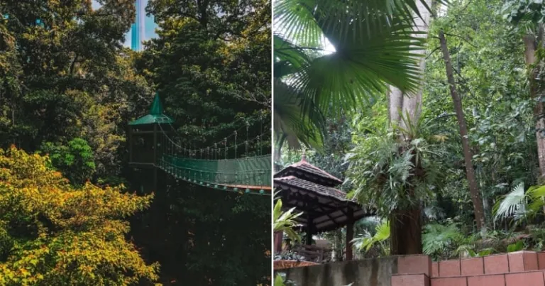 kl forest eco city in kuala lumpur