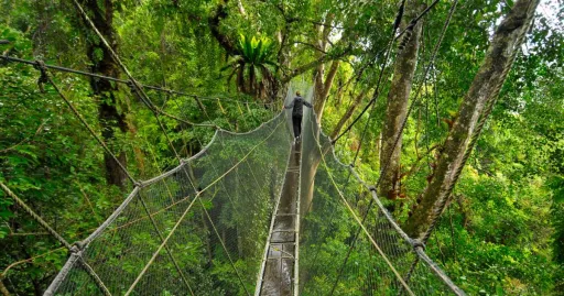 Image for article Bucket List Dreams: 5 Must-Visit Sabah Destinations You’ll Regret Missing!