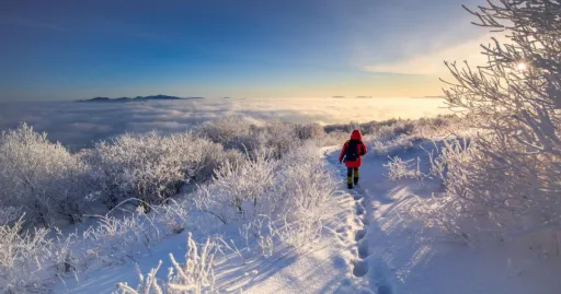 Image for article Winter in Korea: 9 Magical Experiences For a Snowy Getaway to Remember