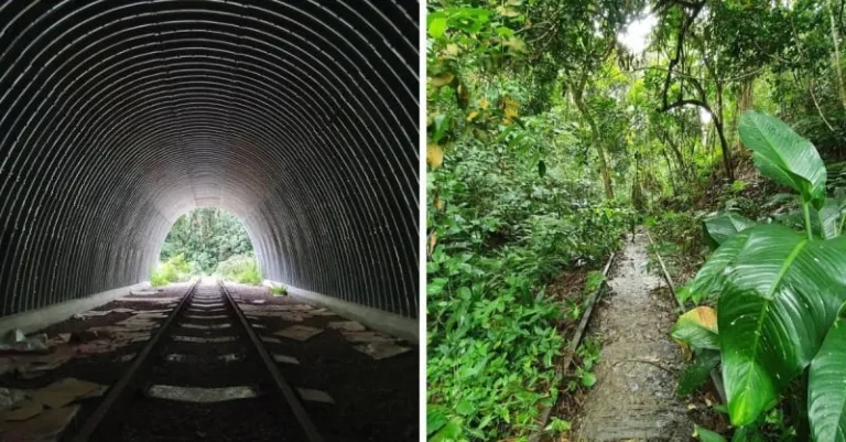 fun activities singapore