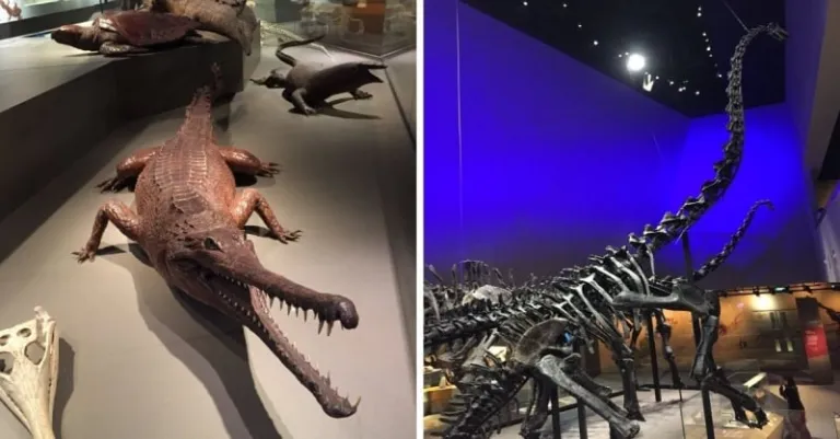 underrated things to do in singapore