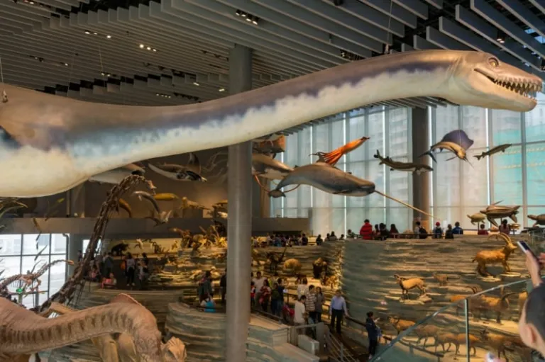 Shanghai Natural History Museum