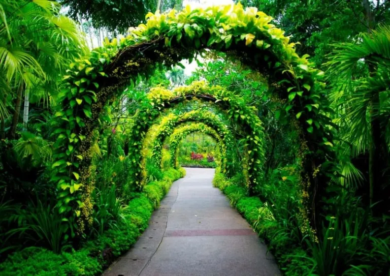 date ideas singapore