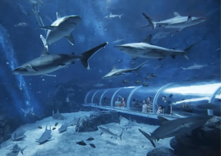 date ideas singapore