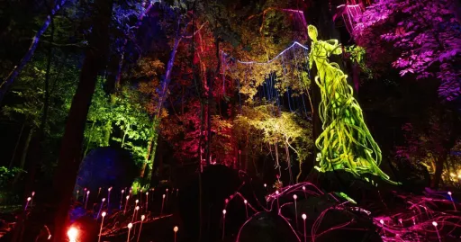 Image for article A Guide to Dream Forest Langkawi — Malaysia’s Newest Attraction!