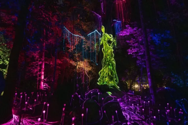 dream forest langkawi sang gedembai