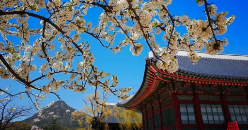 Image for article Seoul Itinerary: All the Best Places to Go for a 5-Day Trip!