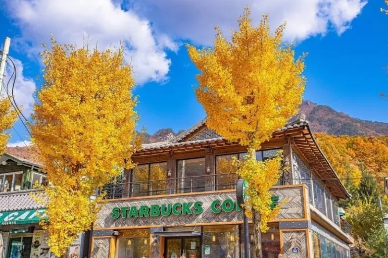 Starbucks Mungyeong Saejae