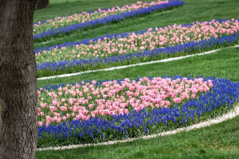 turkey itinerary 7 days