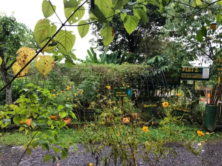 hidden gems singapore