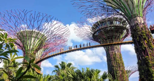 Image for article Which Singapore Tourist Attractions Are Actually Worth the Hype?