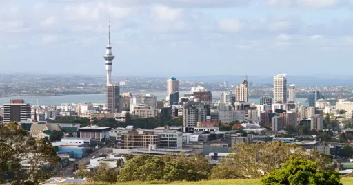 Image for article 10 Things to Do in Auckland, From Whale-Watching to Wine-Tasting