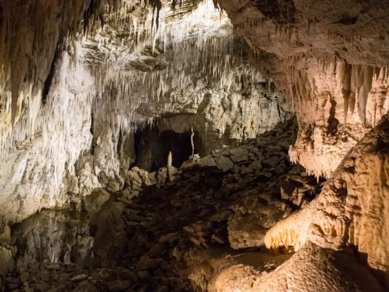  auckland attractions