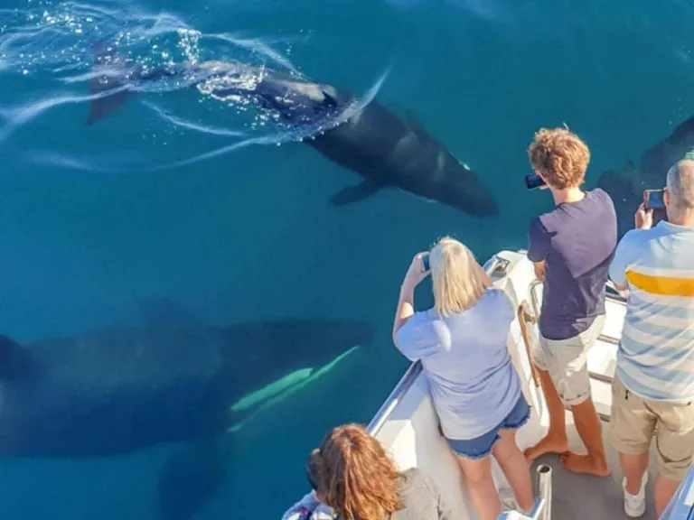 places to visit in auckland