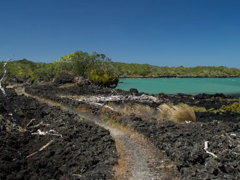 Rangitoto Island Lava Fields