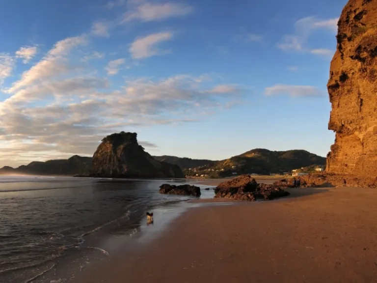 auckland sightseeing