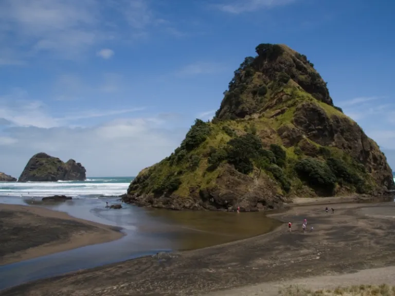 activities in auckland