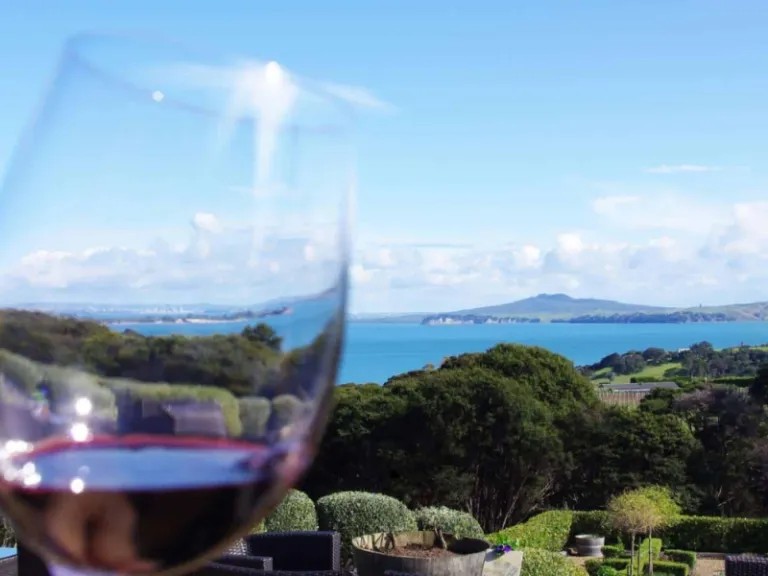 activities in auckland